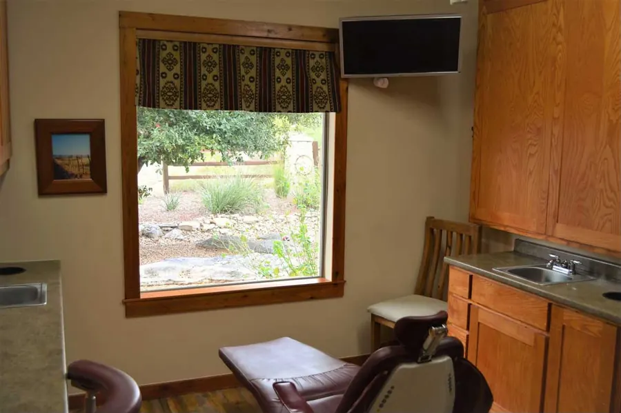 A treatment room: dental chair, wood cabinetry and a large window onto the garden.